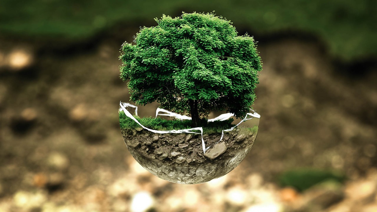 environmental protection
