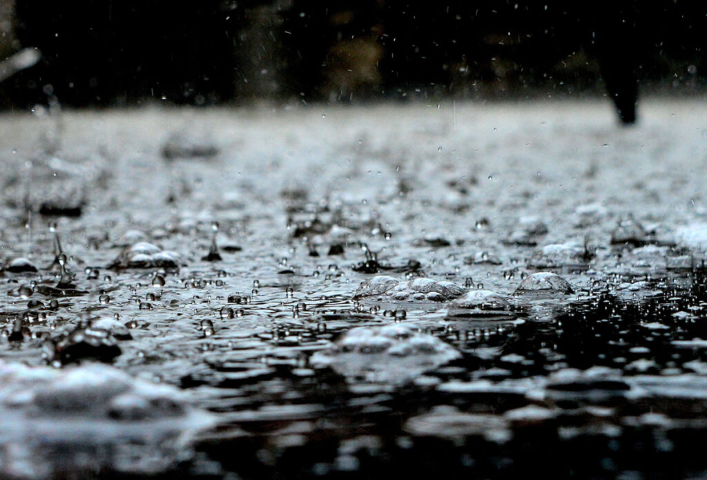 come avviene il ciclo dell'acqua